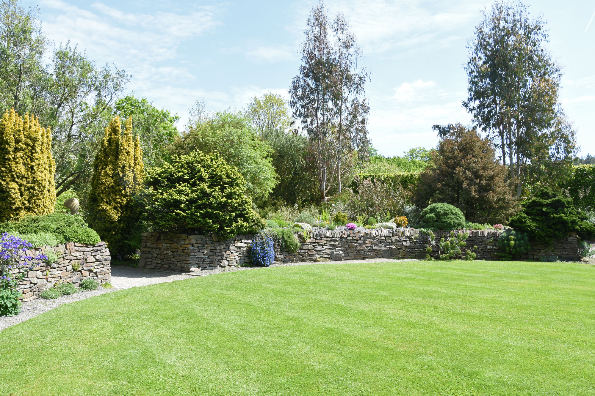 Lush green lawn in North Wales